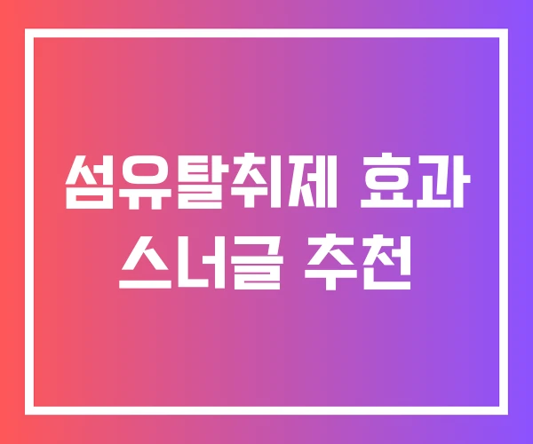 섬유탈취제 효과 스너글 추천
