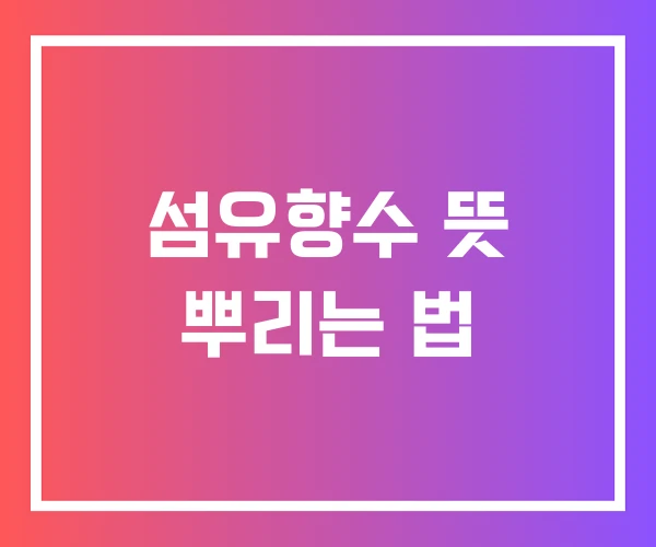 섬유향수 뜻 뿌리는 법 섬유향수 뜻 뿌리는 법