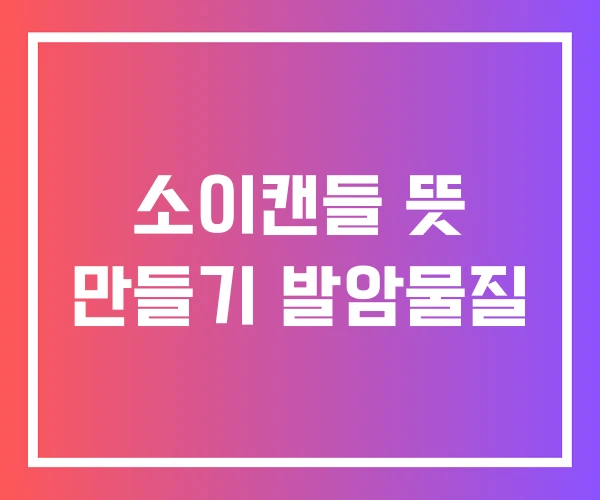 소이캔들 뜻 만들기 발암물질