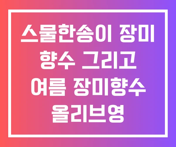 스물한송이 장미 향수 그리고 여름 장미향수 올리브영