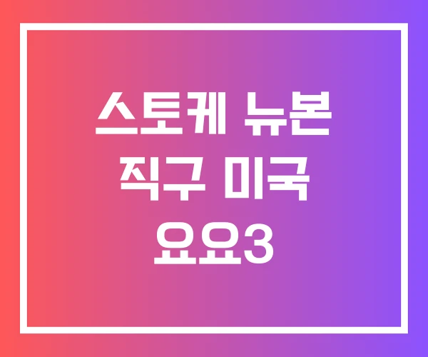 스토케 뉴본 직구 미국 요요3 스토케 뉴본 직구 미국 요요3