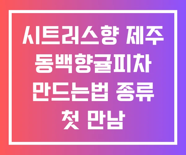 시트러스향 제주 동백향귤피차 만드는법 종류 첫 만남