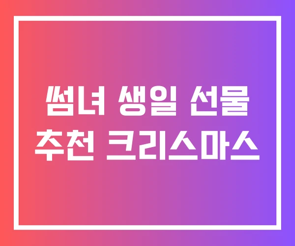 썸녀 생일 선물 추천 크리스마스 썸녀 생일 선물 추천 크리스마스