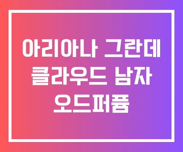 아리아나 그란데 클라우드 남자 오드퍼퓸