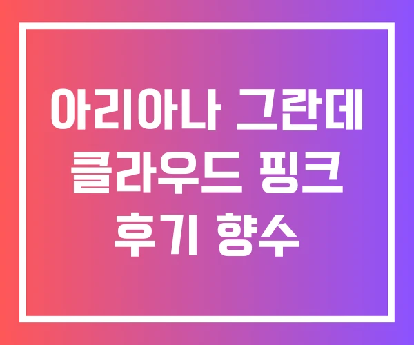 아리아나 그란데 클라우드 핑크 후기 향수