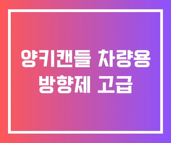 양키캔들 차량용 방향제 고급
