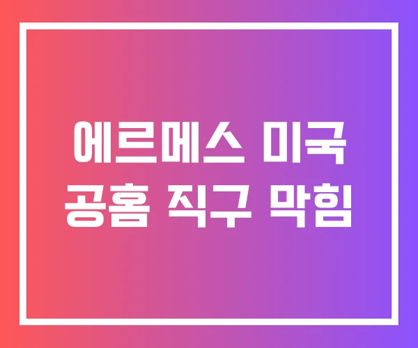에르메스 미국 공홈 직구 막힘 에르메스 미국 공홈 직구 막힘