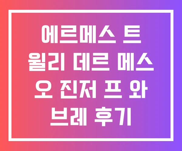 에르메스 트 윌리 데르 메스 오 진저 프 와 브레 후기