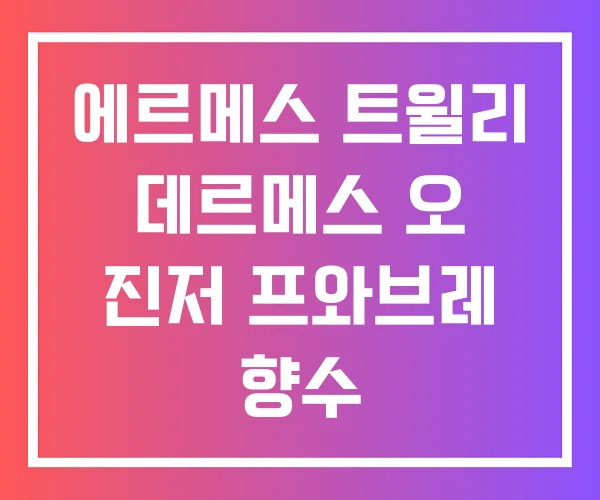 에르메스 트윌리 데르메스 오 진저 프와브레 향수