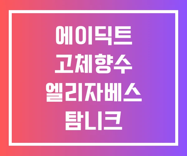 에이딕트 고체향수 엘리자베스 탐니크