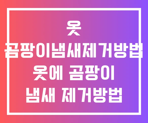 옷 곰팡이냄새제거방법 옷에 곰팡이 냄새 제거방법 옷장 제거