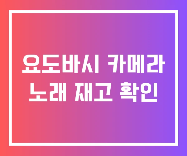 요도바시 카메라 노래 재고 확인