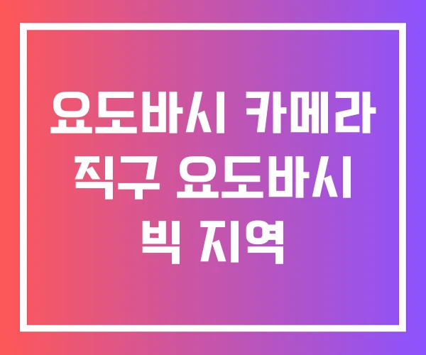 요도바시 카메라 직구 요도바시 빅 지역