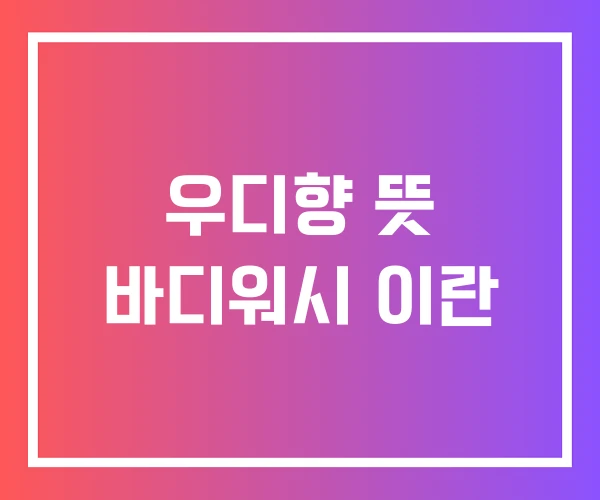 우디향 뜻 바디워시 이란