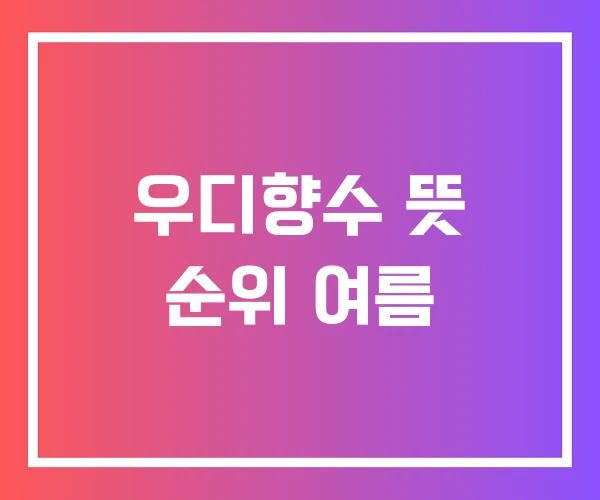 우디향수 뜻 순위 여름