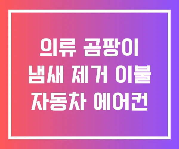 의류 곰팡이 냄새 제거 이불 자동차 에어컨