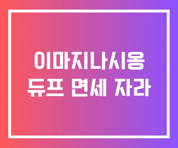 이마지나시옹 듀프 면세 자라