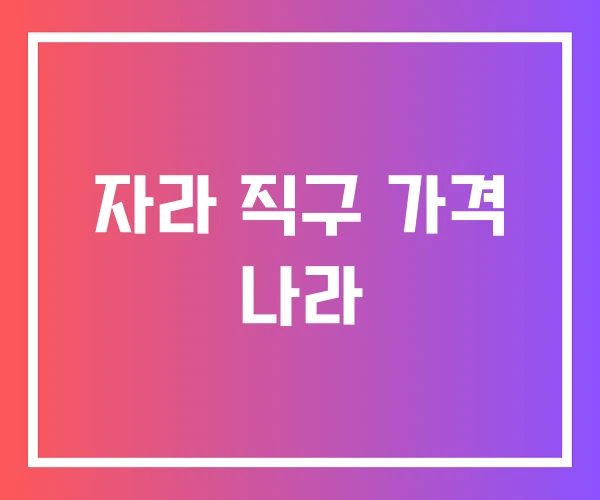 자라 직구 가격 나라