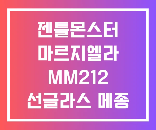 젠틀몬스터 마르지엘라 MM212 선글라스 메종