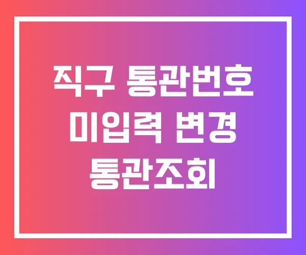 직구 통관번호 미입력 변경 통관조회 직구 통관번호 미입력 변경 통관조회