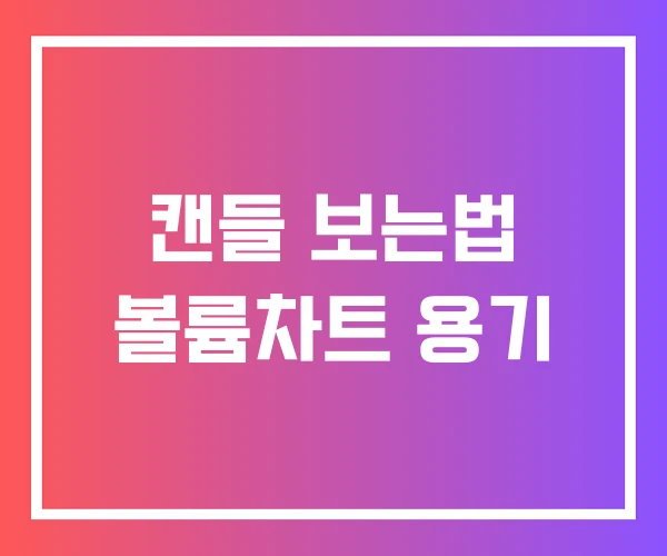 캔들 보는법 볼륨차트 용기