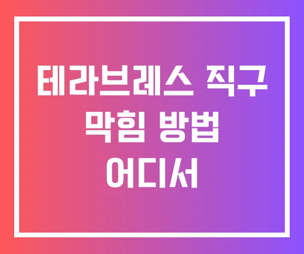 테라브레스 직구 막힘 방법 어디서 테라브레스 직구 막힘 방법 어디서