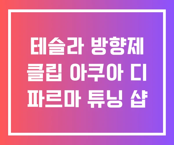 테슬라 방향제 클립 아쿠아 디 파르마 튜닝 샵