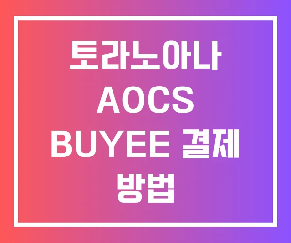 토라노아나 AOCS BUYEE 결제 방법