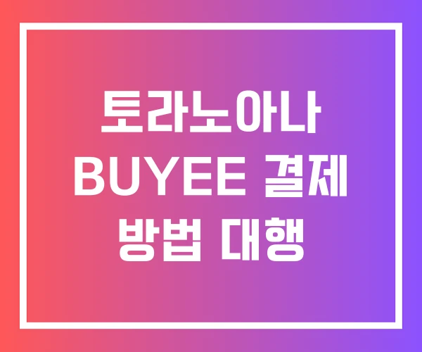토라노아나 BUYEE 결제 방법 대행
