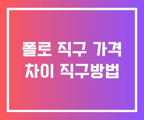 폴로 직구 가격 차이 직구방법