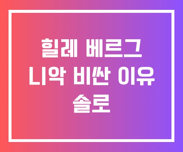 힐레 베르그 니악 비싼 이유 솔로