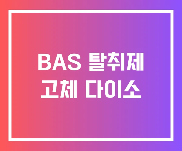 BAS 탈취제 고체 다이소 BAS 탈취제 고체 다이소