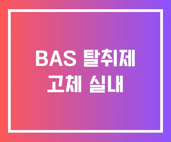 BAS 탈취제 고체 실내 BAS 탈취제 고체 실내