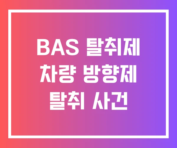 BAS 탈취제 차량 방향제 탈취 사건 BAS 탈취제 차량 방향제 탈취 사건