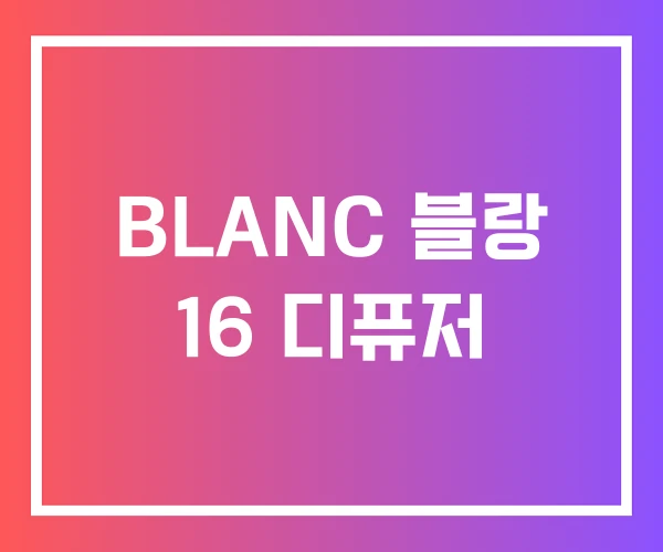 BLANC 블랑 16 디퓨저