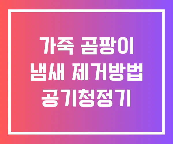가죽 곰팡이 냄새 제거방법 공기청정기