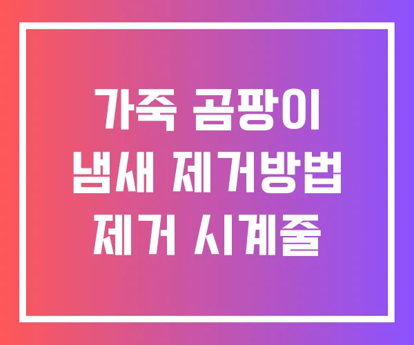 가죽 곰팡이 냄새 제거방법 제거 시계줄