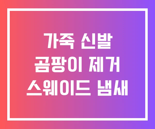 가죽 신발 곰팡이 제거 스웨이드 냄새