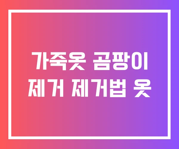 가죽옷 곰팡이 제거 제거법 옷