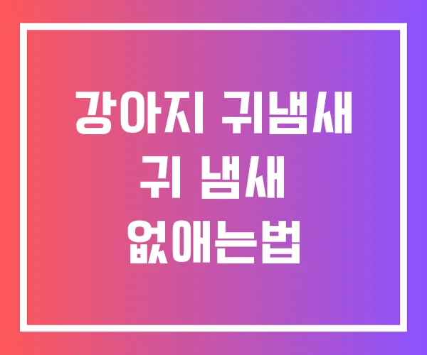 강아지 귀냄새 귀 냄새 없애는법 강아지 귀냄새 귀 냄새 없애는법