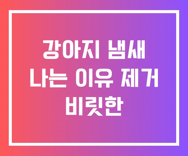 강아지 냄새 나는 이유 제거 비릿한