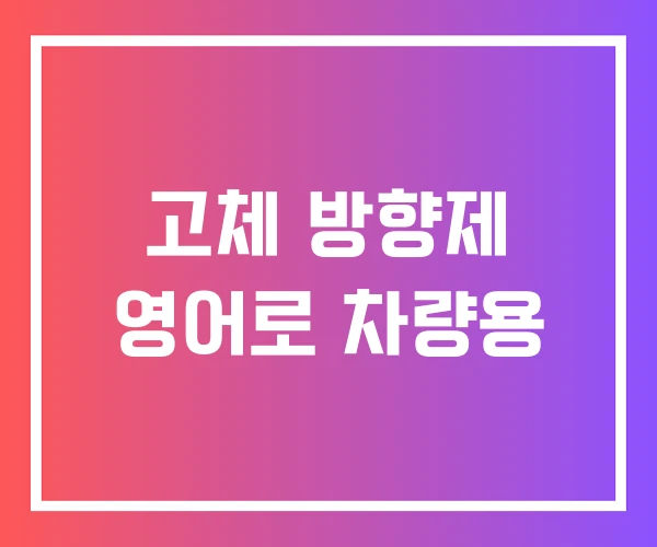 고체 방향제 영어로 차량용 고체 방향제 영어로 차량용