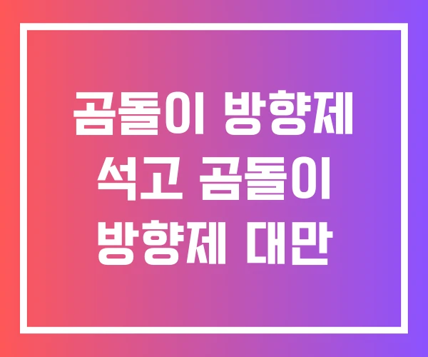 곰돌이 방향제 석고 곰돌이 방향제 대만
