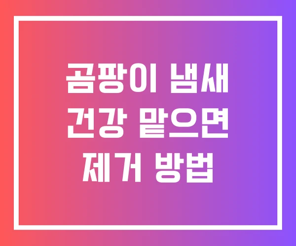 곰팡이 냄새 건강 맡으면 제거 방법