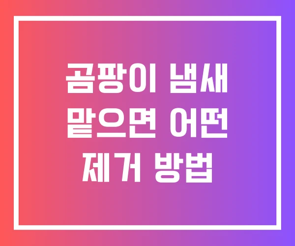 곰팡이 냄새 맡으면 어떤 제거 방법