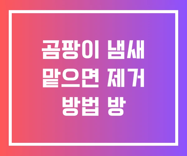 곰팡이 냄새 맡으면 제거 방법 방
