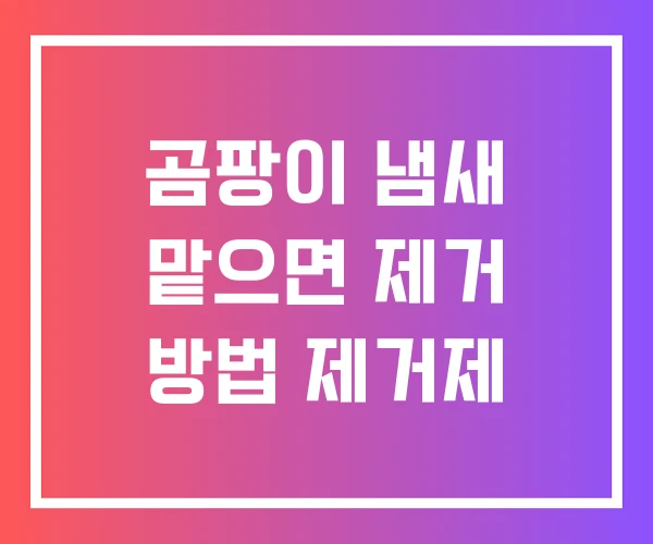 곰팡이 냄새 맡으면 제거 방법 제거제