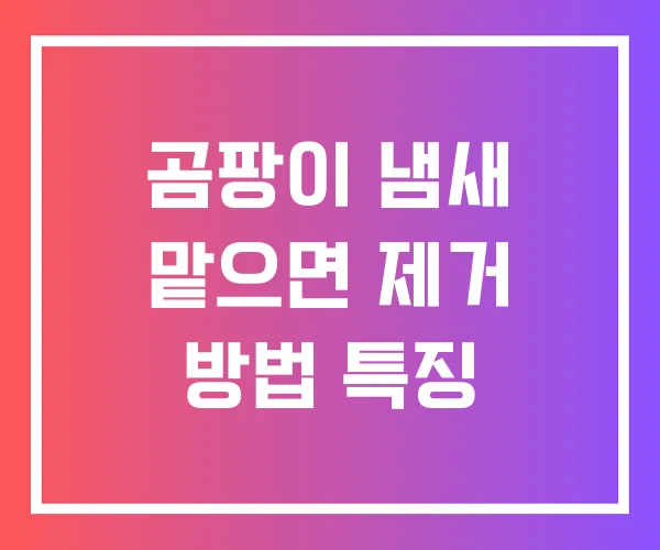 곰팡이 냄새 맡으면 제거 방법 특징
