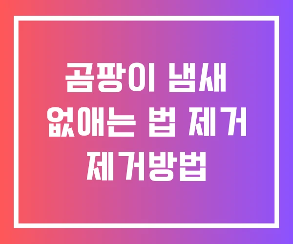 곰팡이 냄새 없애는 법 제거 제거방법 곰팡이 냄새 없애는 법 제거 제거방법