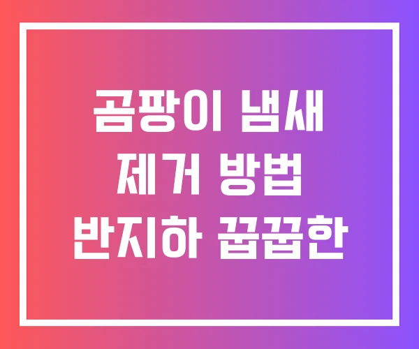 곰팡이 냄새 제거 방법 반지하 꿉꿉한